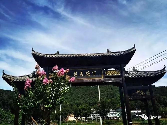 宜春这个小村庄因水中荷花,山中奇石和禾雀花名声鹊起